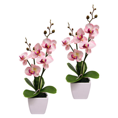 Kunstblumen zum Verlieben | Wayfair.de